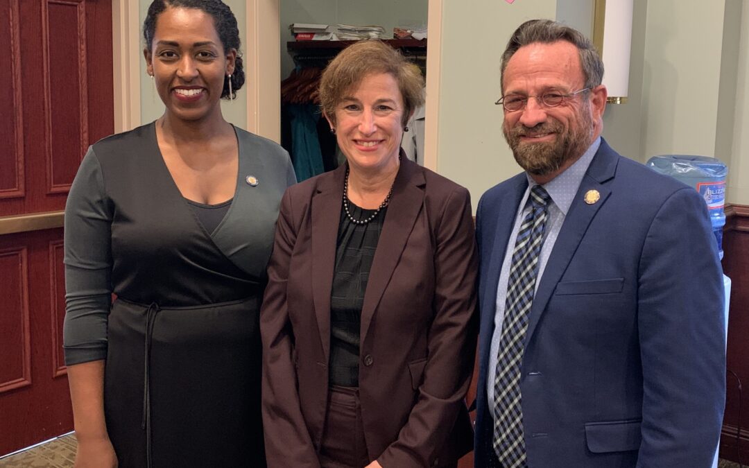 Hillside Praises Gov. Hochul and NYS Legislators for Passage of Vital Mental Health Law